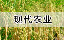 用友農業産業化行業解決方案