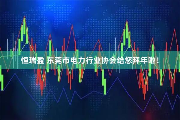 恒瑞盈 东莞市电力行业协会给您拜年啦！